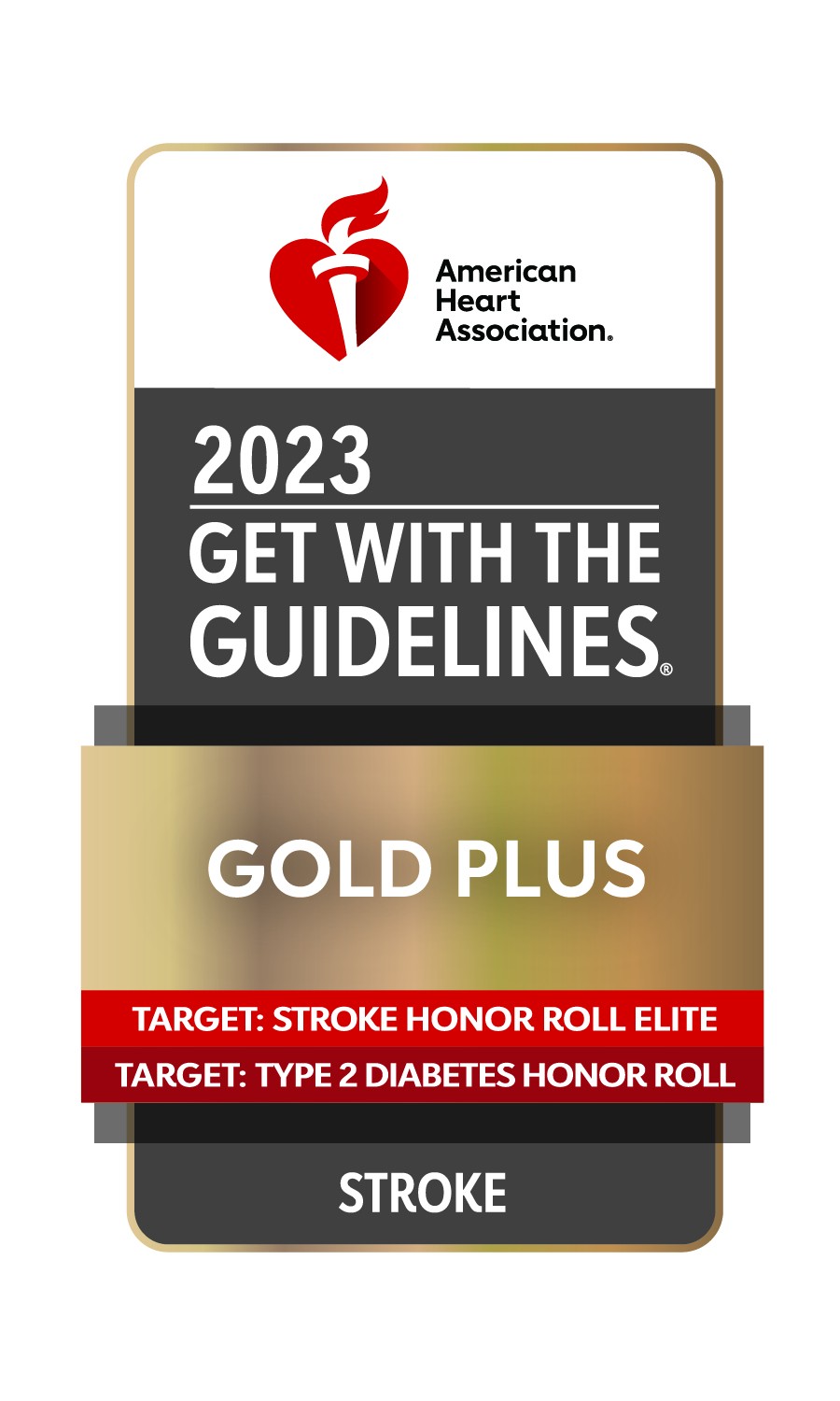 2024 Get with the Guidelines Gold Plus in Stroke